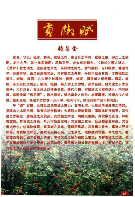 《汉源简志1786-2013》.pdf电子版_四川省志预览图5