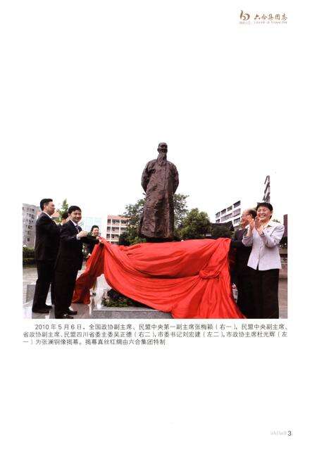 《六合集团志1912-2011》.pdf电子版_四川省志预览图5