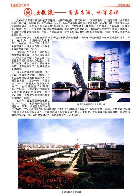 《宜宾市工业志1911-2005》.pdf电子版_四川省志预览图5