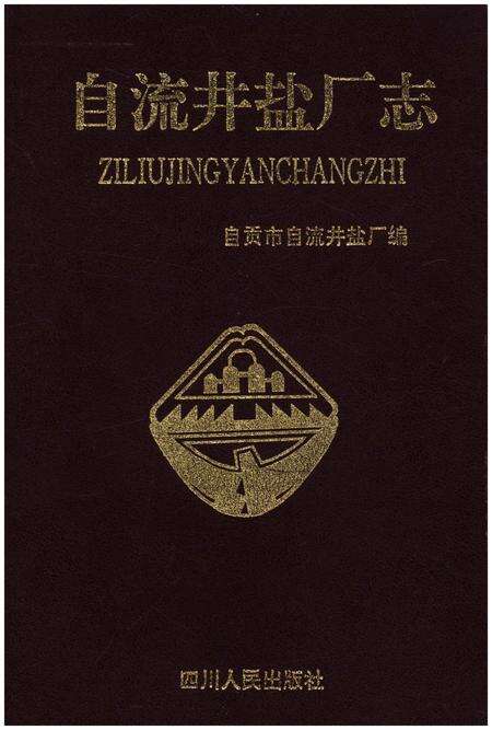 《自流井盐厂志》.pdf电子版_四川省志缩略图