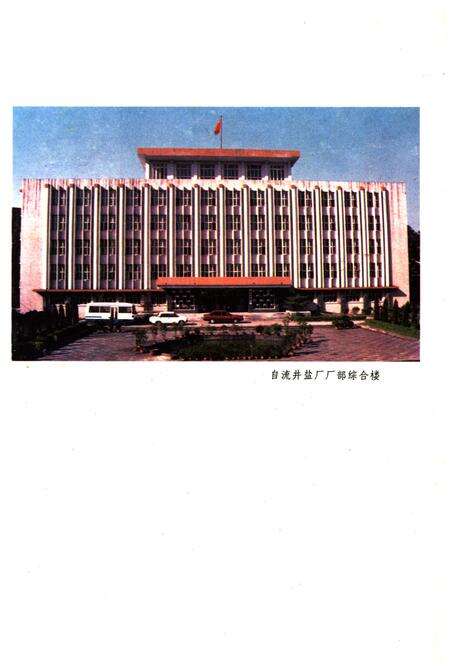 《自流井盐厂志》.pdf电子版_四川省志预览图4