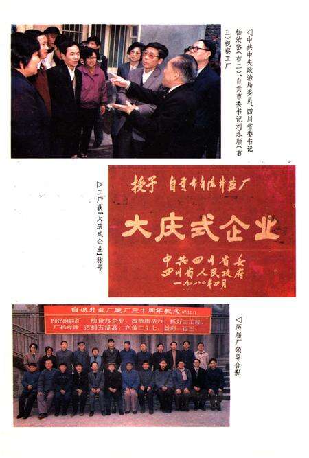 《自流井盐厂志》.pdf电子版_四川省志预览图5