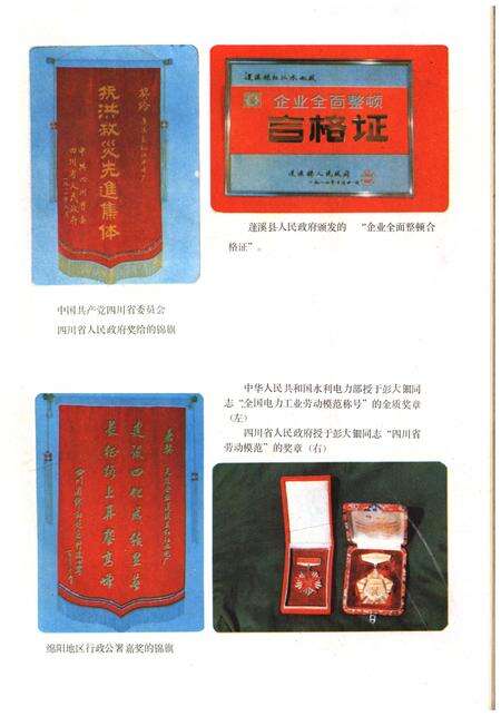 《蓬溪县红江水电厂志》.pdf电子版_四川省志预览图5