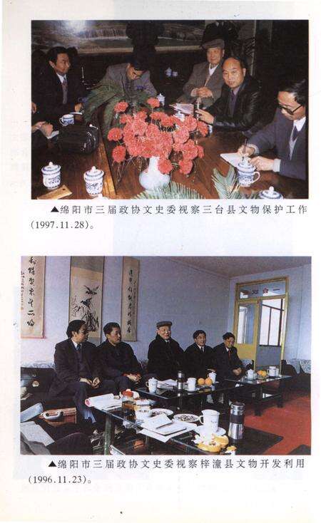 《绵阳文史资料 第十六辑》.pdf电子版_四川省志预览图5