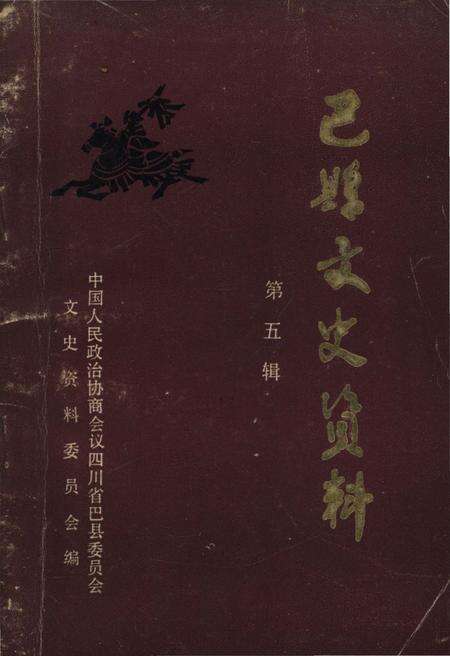《巴县文史资料 第五辑》.pdf电子版_四川省志缩略图