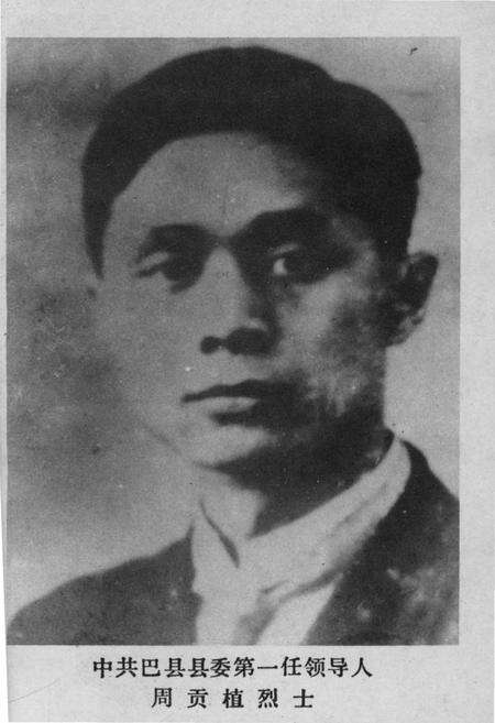 《巴县文史资料 第五辑》.pdf电子版_四川省志预览图3