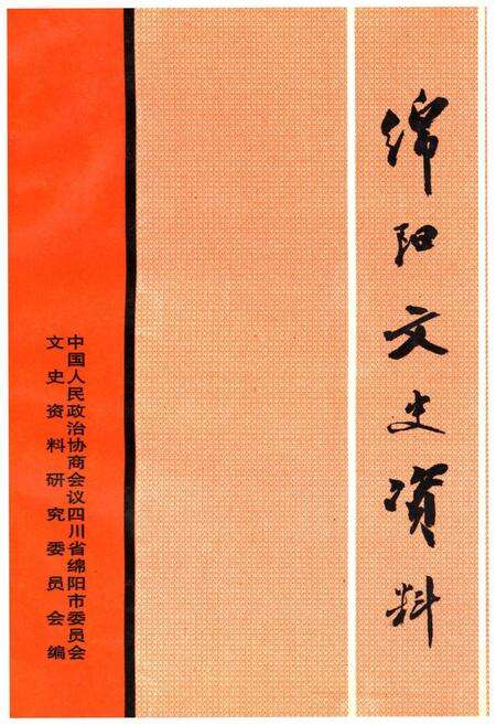 《绵阳文史资料(第十五辑)》.pdf电子版_四川省志缩略图