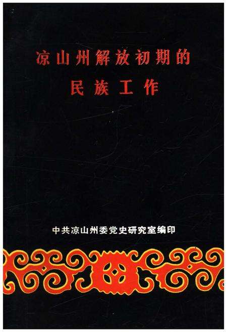 《凉山州解放初期民族工作》.pdf电子版_四川省志缩略图