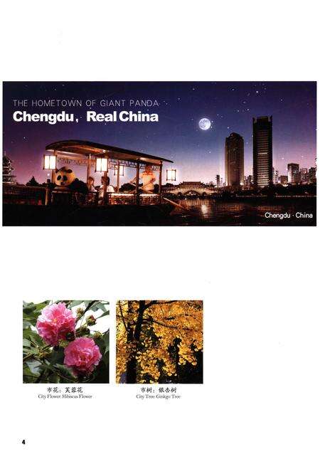 《成都概览2011年版》.pdf电子版_四川省志预览图5