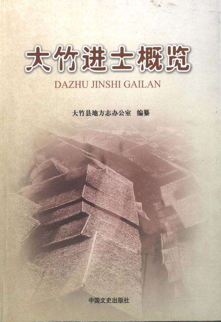 《大竹进士概览》.pdf电子版_四川省志缩略图