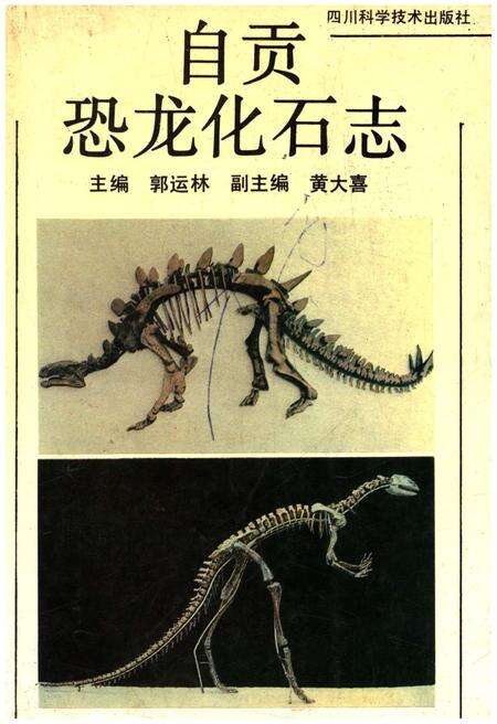 《自贡恐龙化石志》.pdf电子版_四川省志缩略图
