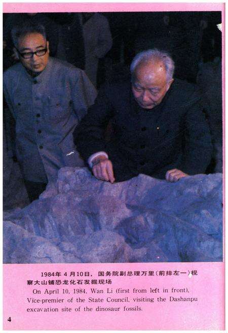 《自贡恐龙化石志》.pdf电子版_四川省志预览图5