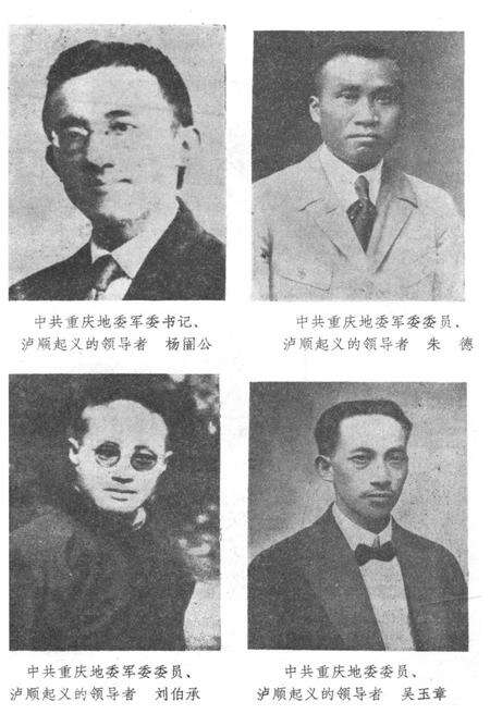 《泸州顺庆起义》.pdf电子版_四川省志预览图3