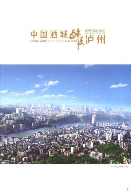 《泸州市人民政府志1991-2010》.pdf电子版_四川省志预览图4