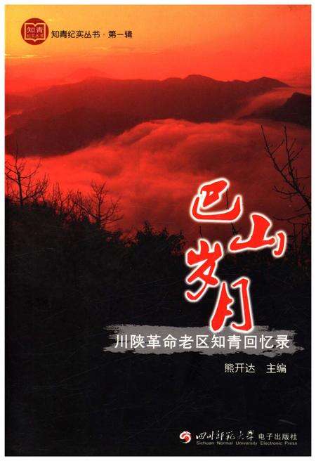《巴山岁月 川陕革命老区知青回忆录》.pdf电子版_四川省志缩略图