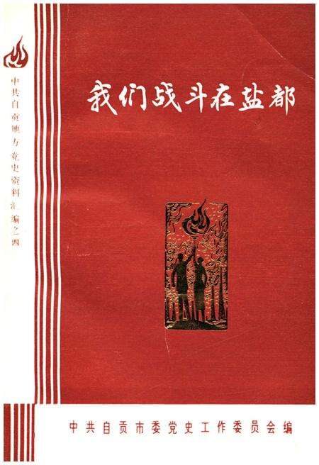 《我们战斗在盐都 上》.pdf电子版_四川省志缩略图