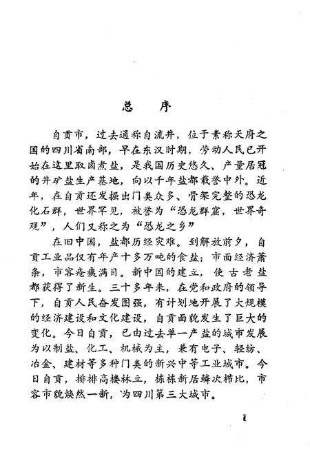 《我们战斗在盐都 上》.pdf电子版_四川省志预览图2