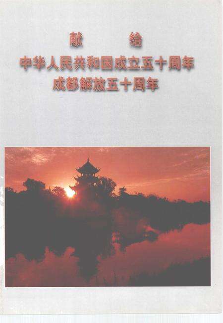 《成都城建修志辑览》.pdf电子版_四川省志预览图5