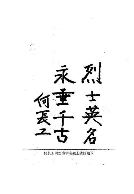 《宁南文史  第1辑》.pdf电子版_四川省志预览图4
