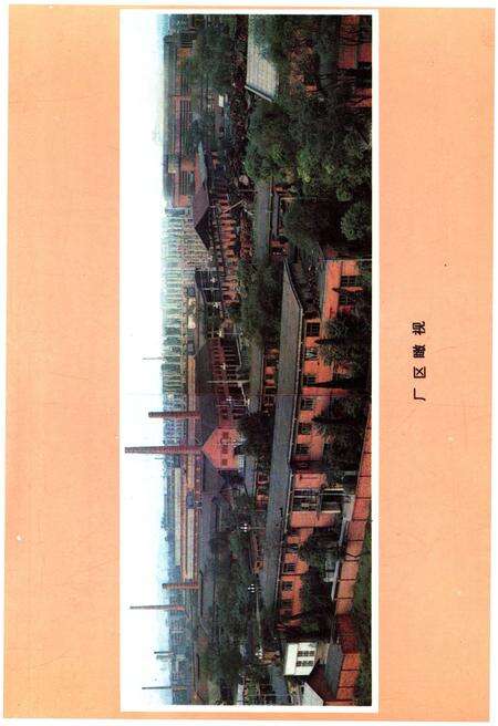 《成都冶金实验厂厂志 1958-1985》.pdf电子版_四川省志预览图4