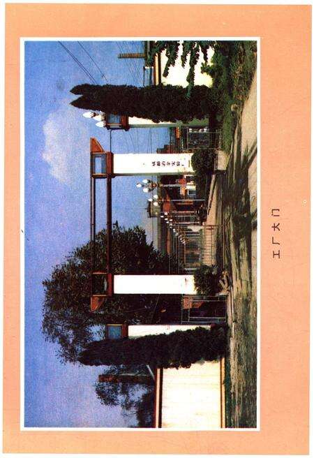 《成都冶金实验厂厂志 1958-1985》.pdf电子版_四川省志预览图5