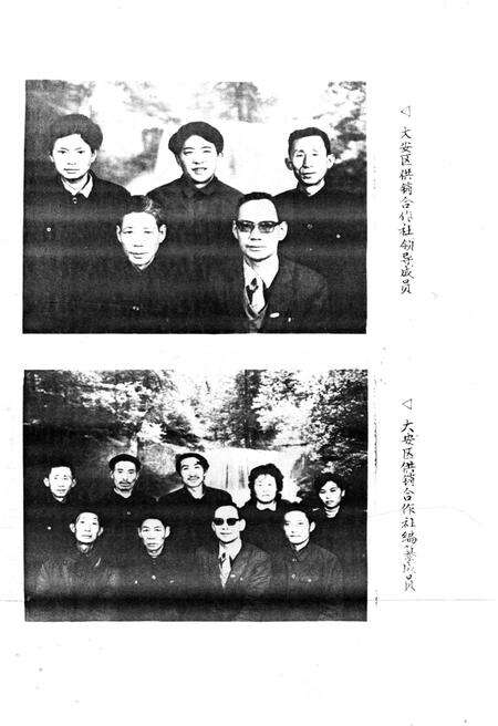 《大安区供销合作志》.pdf电子版_四川省志预览图2