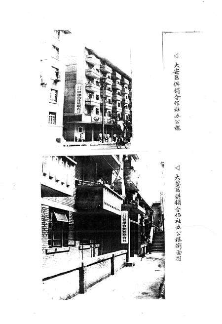 《大安区供销合作志》.pdf电子版_四川省志预览图3