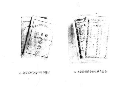 《大安区供销合作志》.pdf电子版_四川省志预览图4