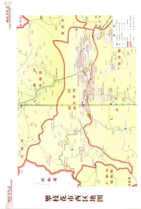 《攀枝花市西区卫生志》.pdf电子版_四川省志预览图4