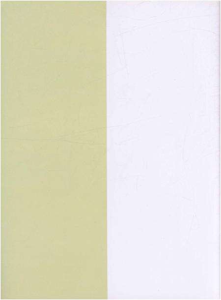 《石井村志》.pdf电子版_四川省志预览图1