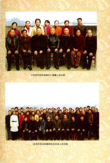 《自贡市劳动保障志》.pdf电子版_四川省志预览图5