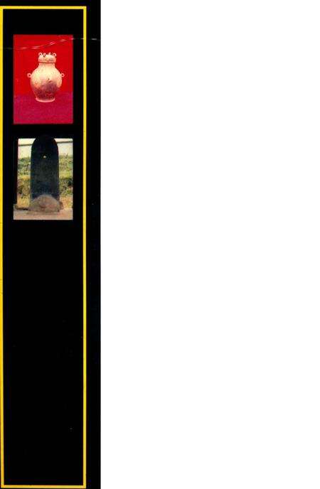 《雅安地区文物志》.pdf电子版_四川省志预览图1