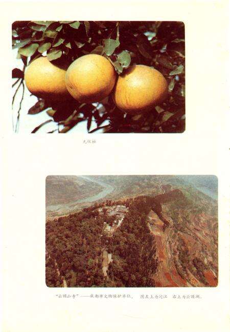 《四川省金堂县地名志》.pdf电子版_四川省志预览图5