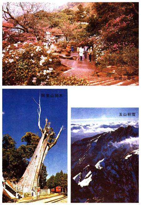 《台湾风物志》.pdf电子版_台湾省志预览图3