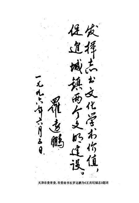 《武清县 王庆坨镇志》.pdf电子版_天津市志预览图2