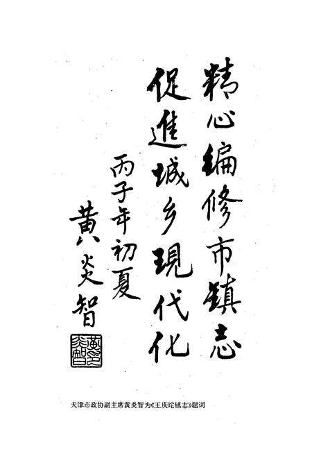 《武清县 王庆坨镇志》.pdf电子版_天津市志预览图3