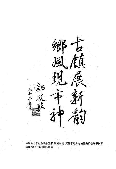 《武清县 王庆坨镇志》.pdf电子版_天津市志预览图4