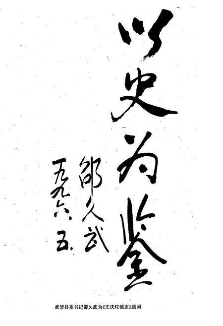 《武清县 王庆坨镇志》.pdf电子版_天津市志预览图5