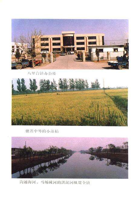 《八里台镇志》.pdf电子版_天津市志预览图5