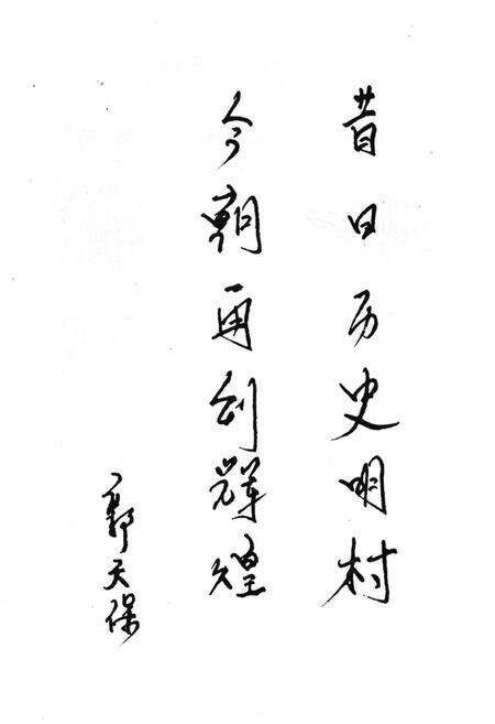 《传字营村志》.pdf电子版_天津市志预览图4