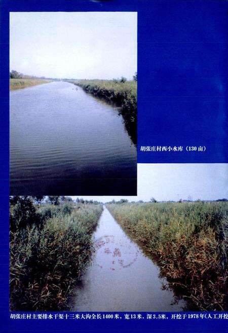 《胡张庄村志》.pdf电子版_天津市志预览图4