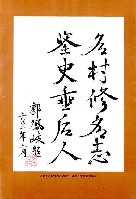 《新立村志》.pdf电子版_天津市志预览图3