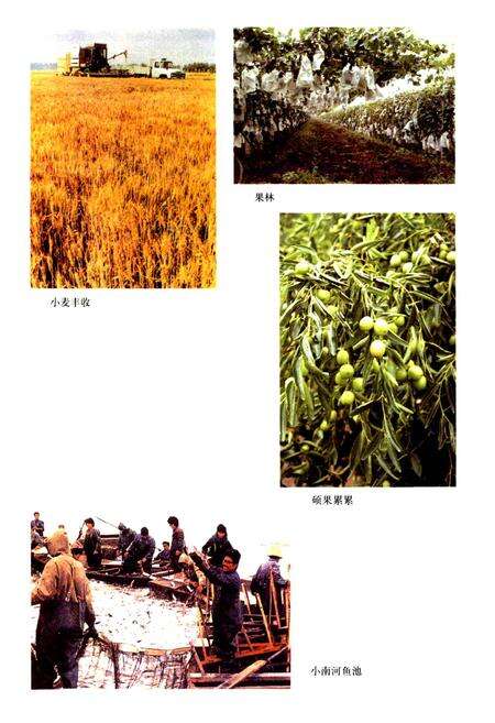 《南河镇志》.pdf电子版_天津市志预览图5