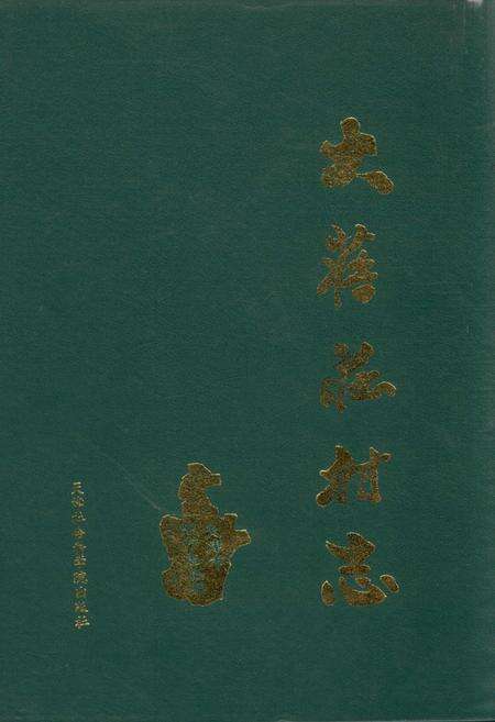 《大蒋庄村志》.pdf电子版_天津市志缩略图
