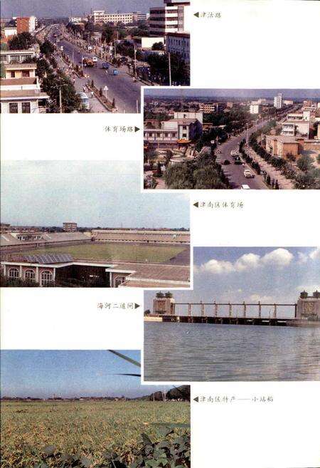 《天津市地名志 12 津南区》.pdf电子版_天津市志预览图4