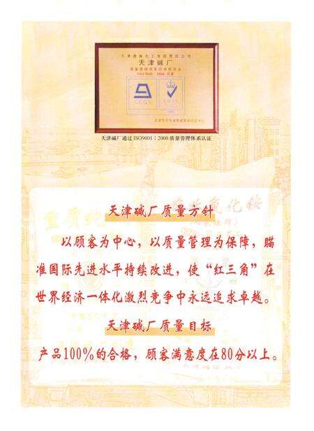 《天津碱厂志》.pdf电子版_天津市志预览图5