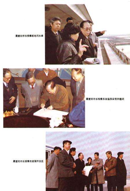 《天津水利志 卷九 东丽区水利志》.pdf电子版_天津市志预览图4