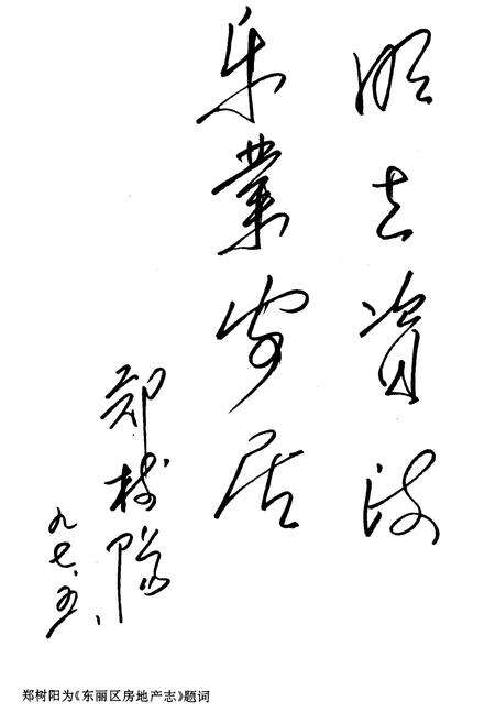 《东丽区房地产志》.pdf电子版_天津市志预览图2