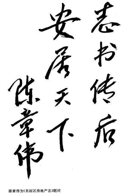 《东丽区房地产志》.pdf电子版_天津市志预览图3