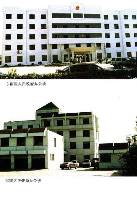 《东丽区房地产志》.pdf电子版_天津市志预览图5